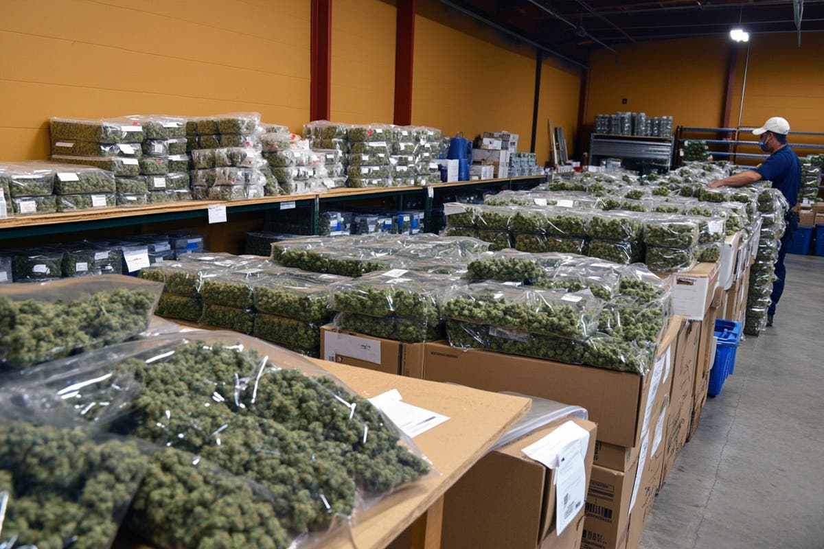 California Intensifies Crackdown on Unlicensed Cannabis Operations in 2025