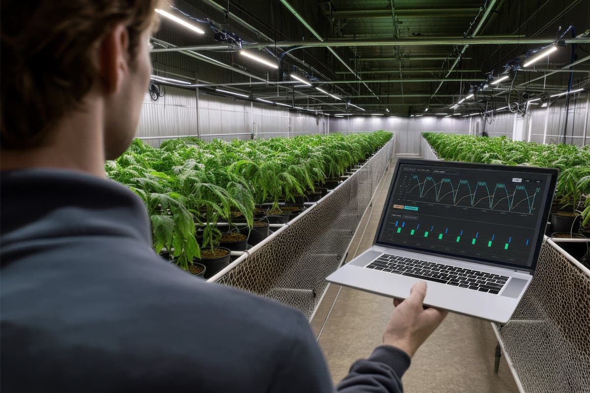Crop Steering and Why Nutrients Matter: How FloraFlex Supports Precision Growth