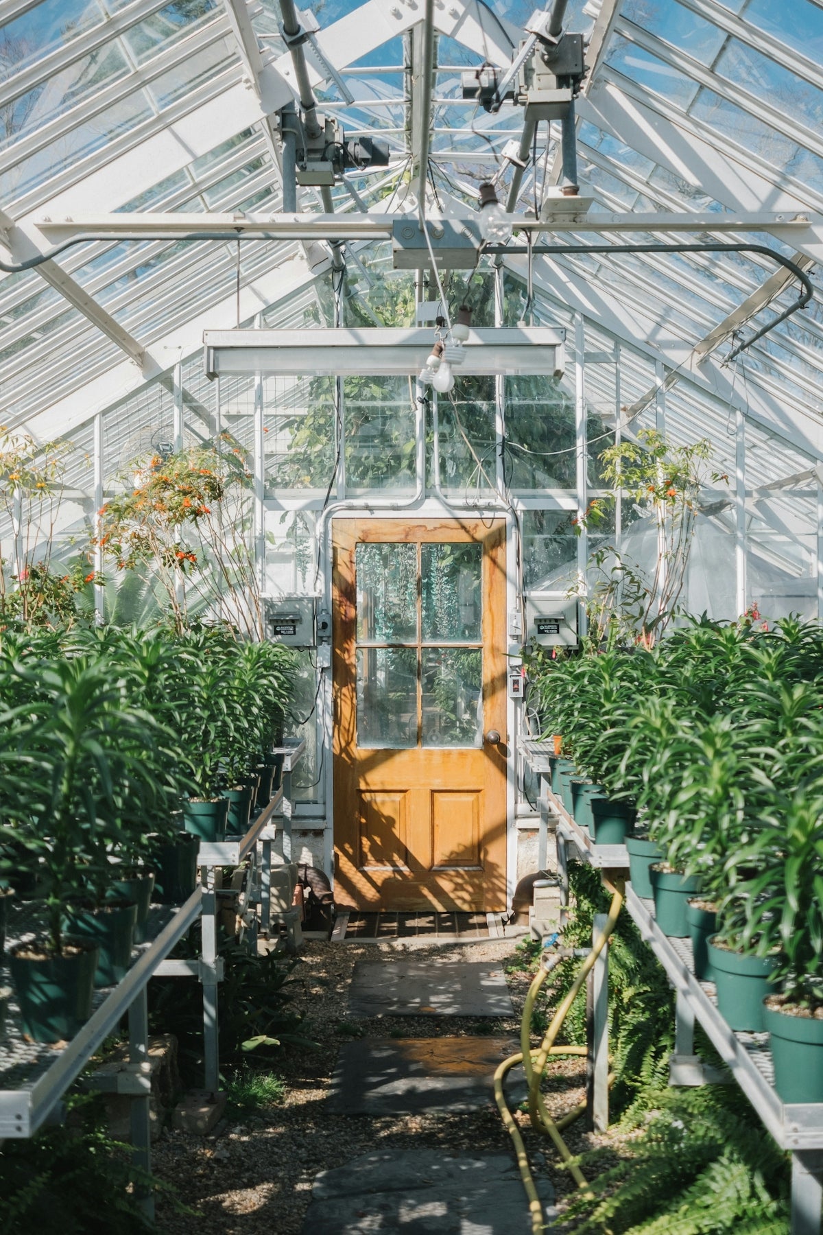 brown wooden seat in greenhouse