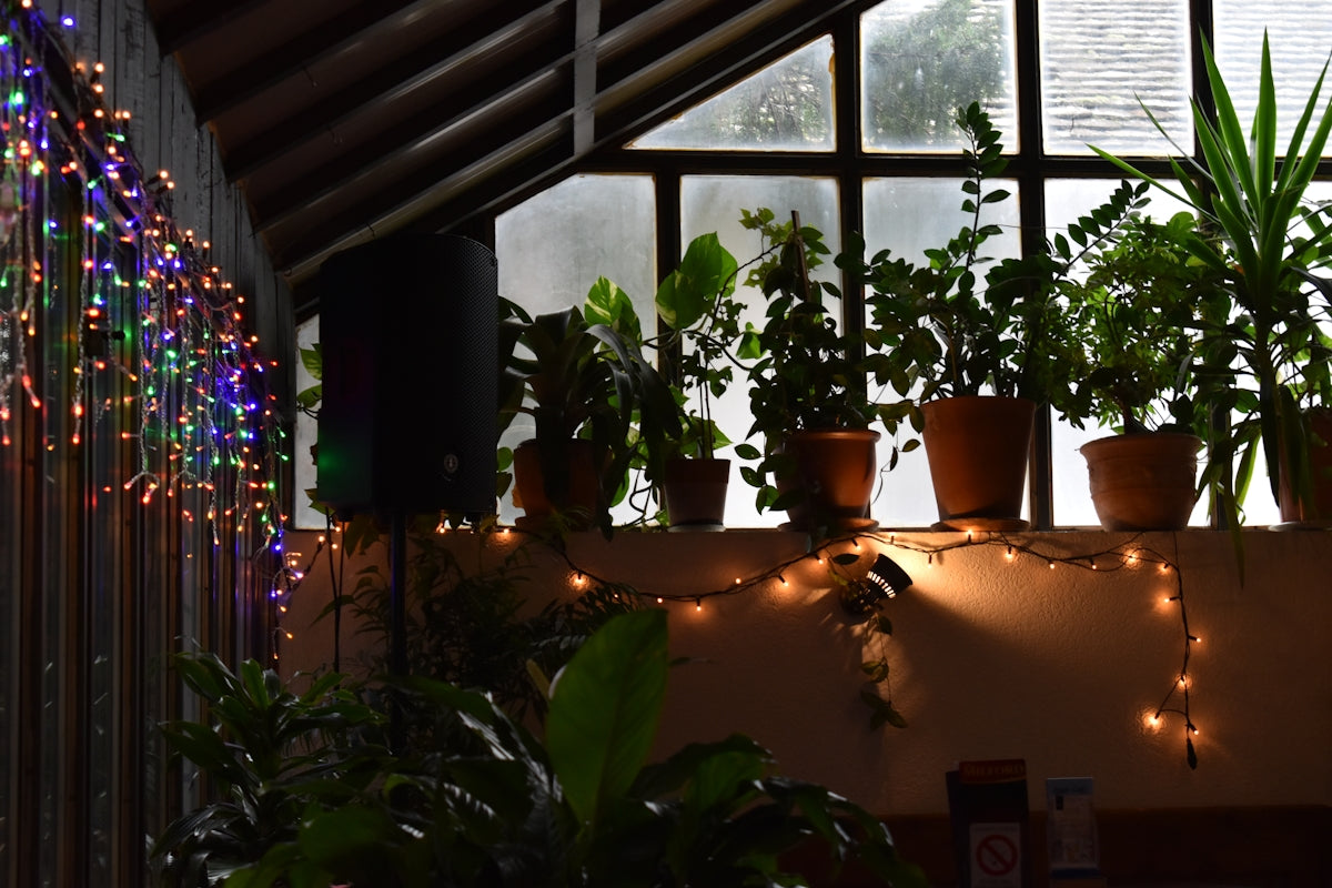 a room filled with potted plants next to a window