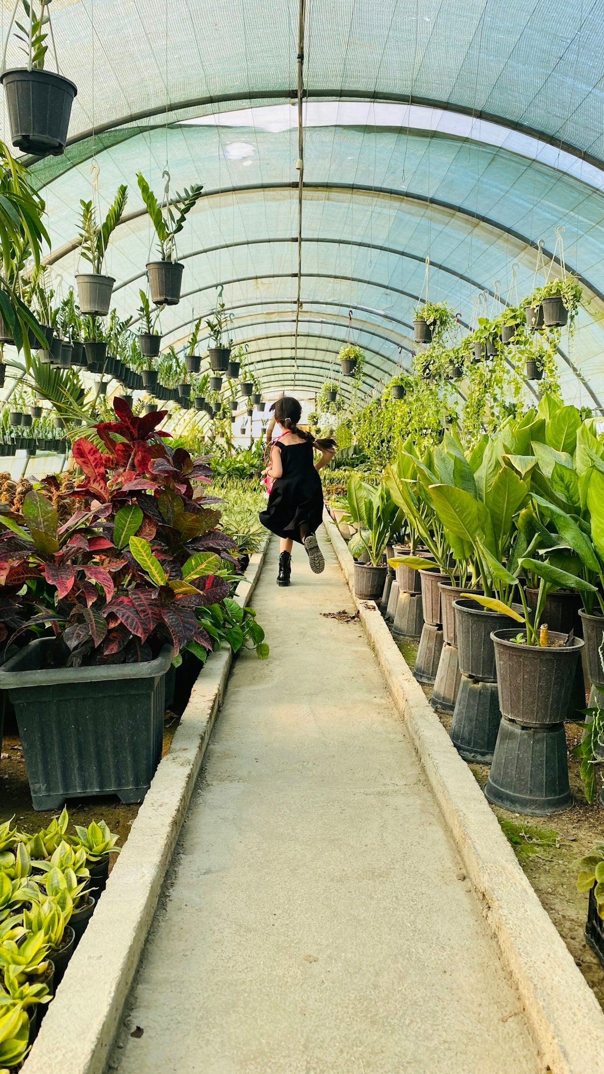 a person walking in a greenhouse