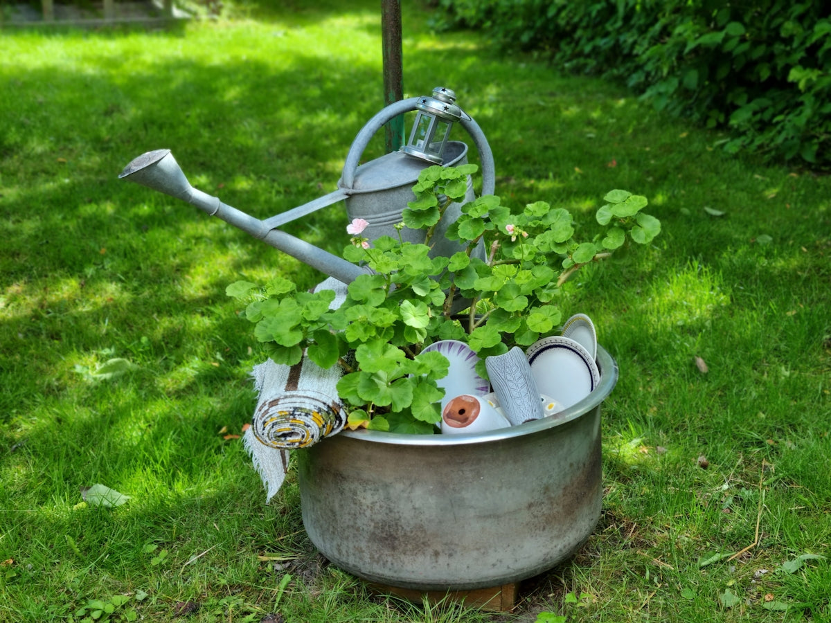 a garden with a watering can
