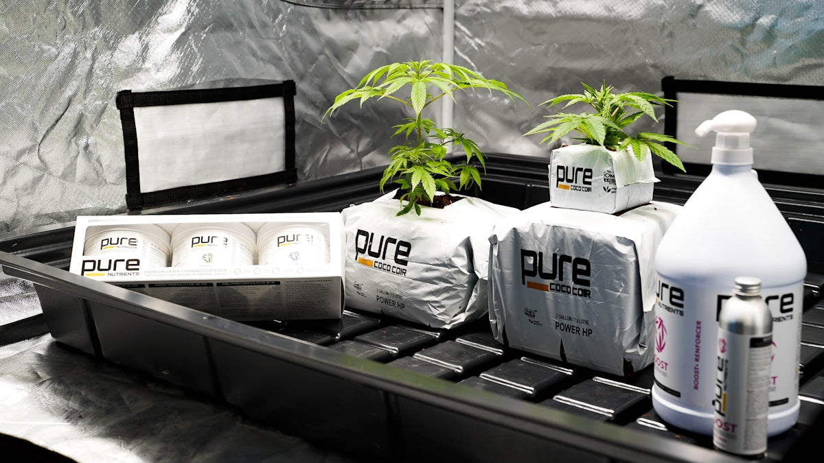 a table with a laptop and bottles of water on it