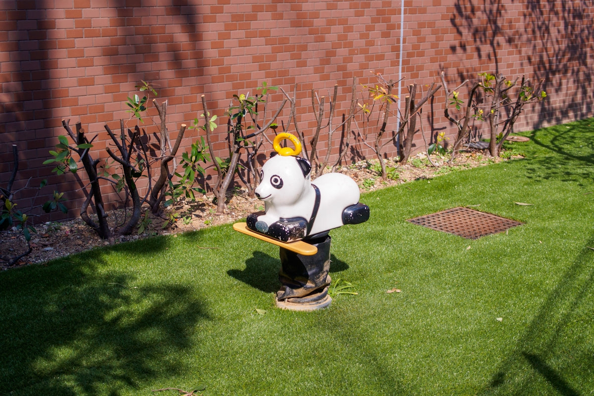 a fire hydrant in the shape of a dog on a skateboard