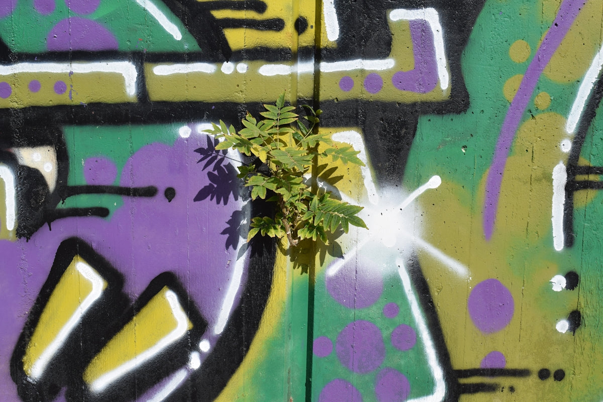 a potted plant sitting on top of a wooden table