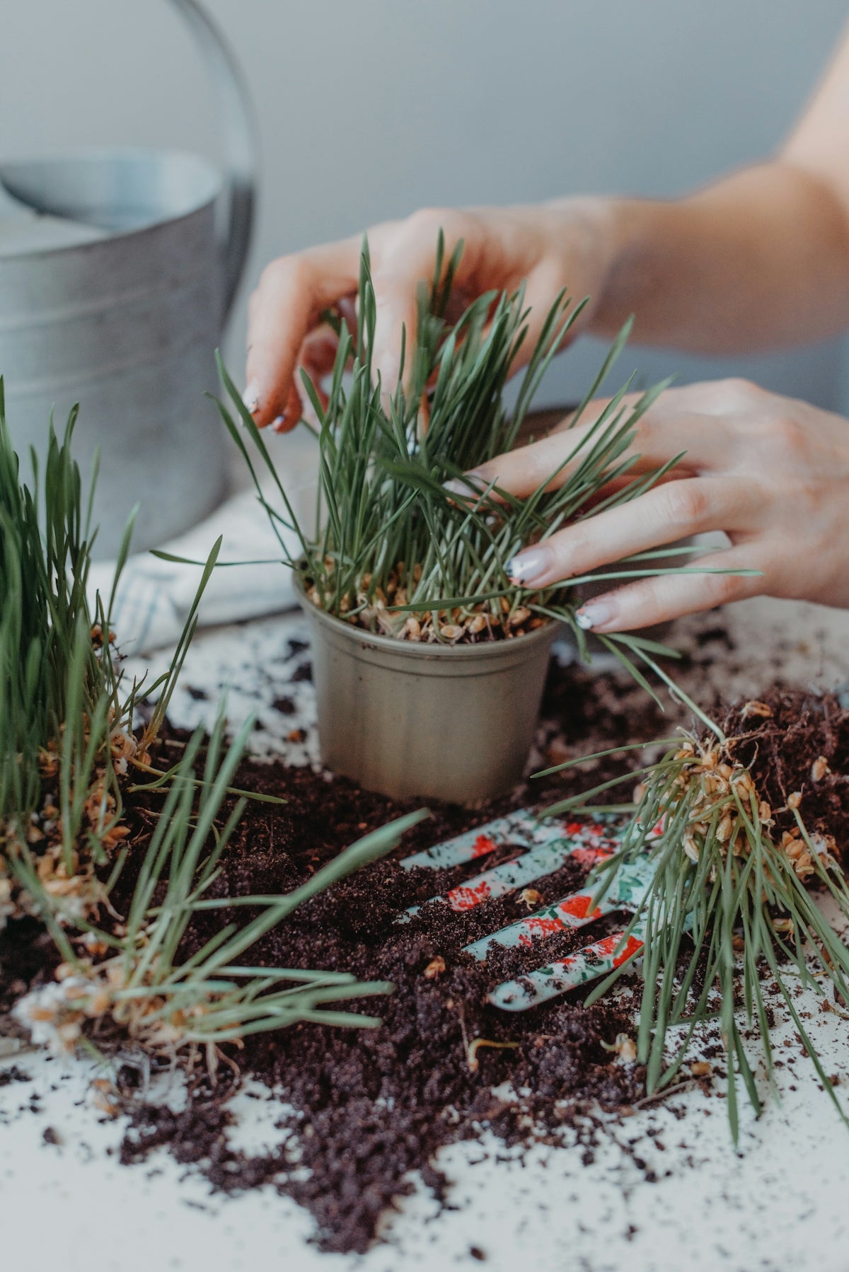 a person putting plants in a pot on a table