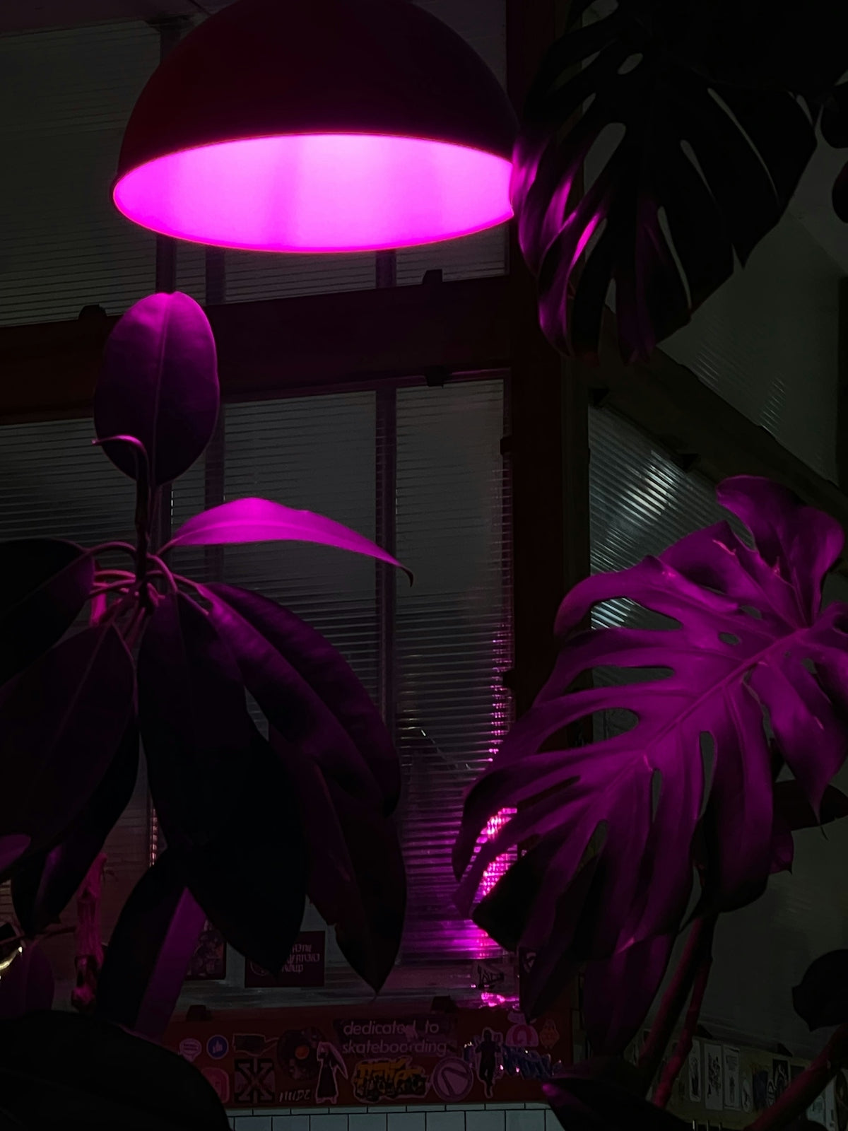 a purple light shines on a plant in a dark room