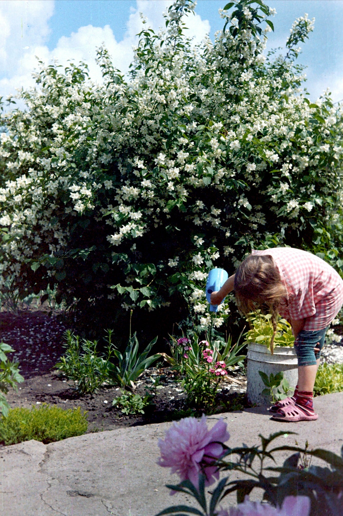 a young girl watering flowers in a garden