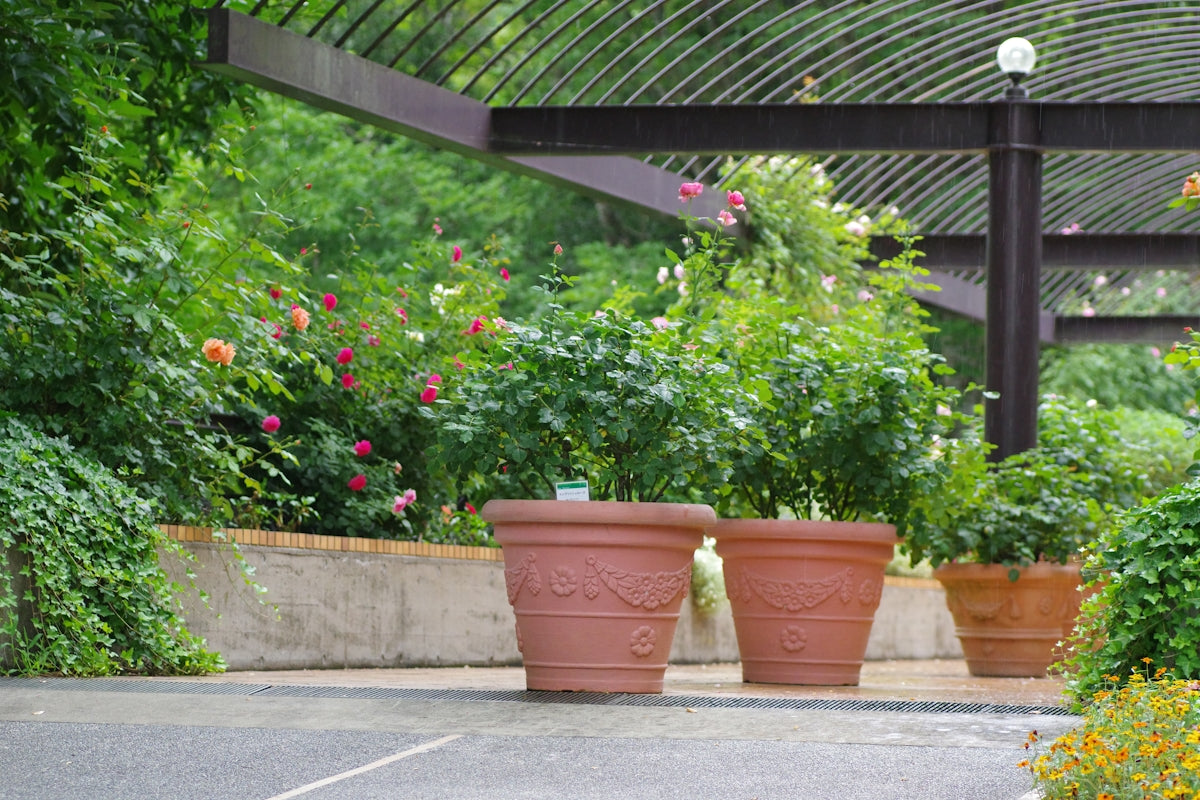 A bunch of potted plants in a garden