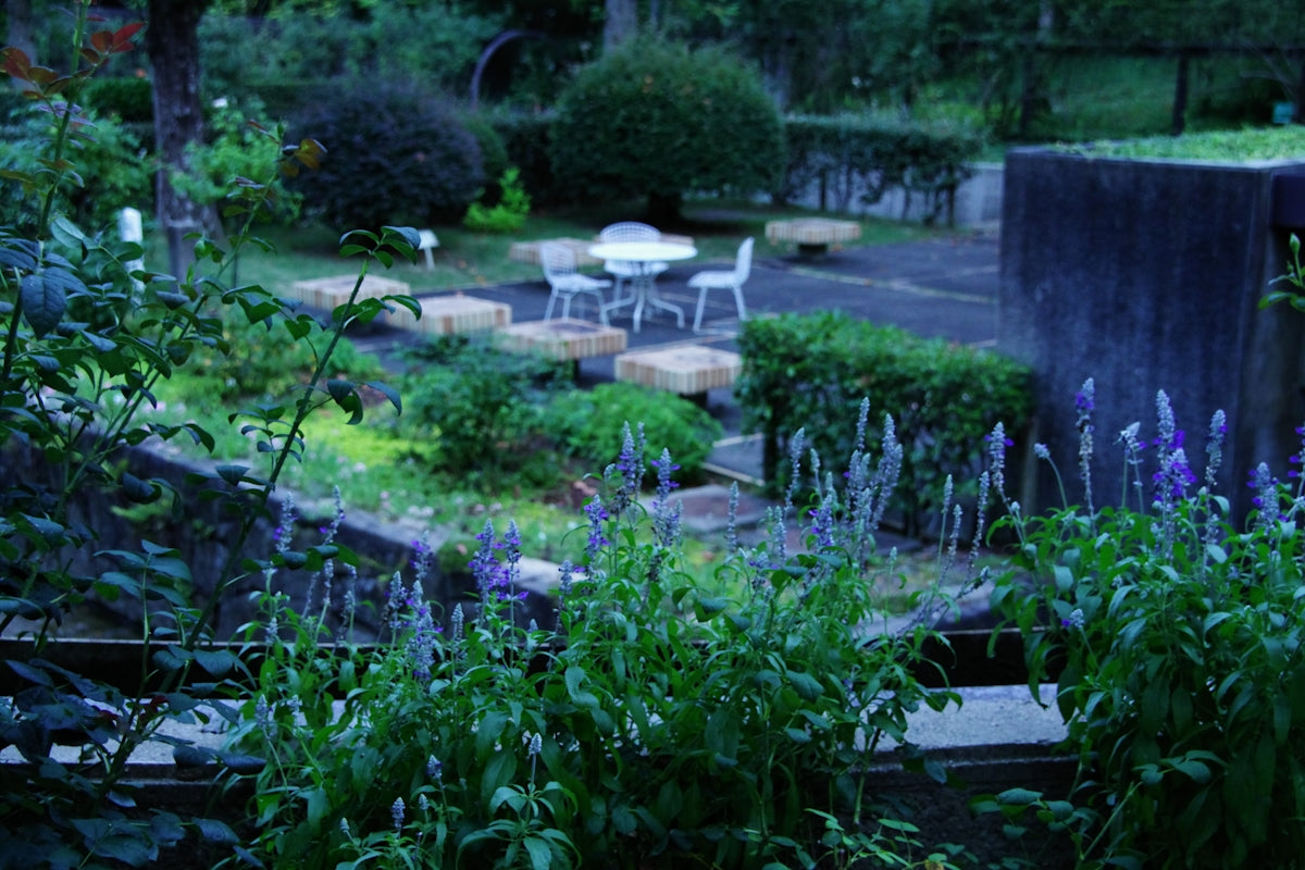 A garden with a table and chairs in it