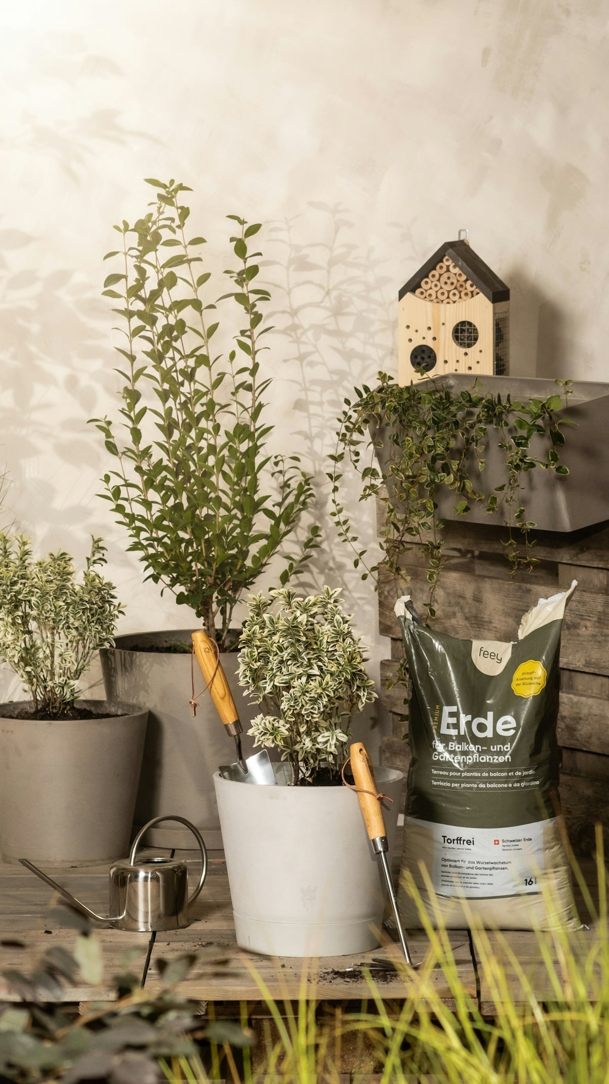 Gardening tools and plants create a tranquil outdoor scene.