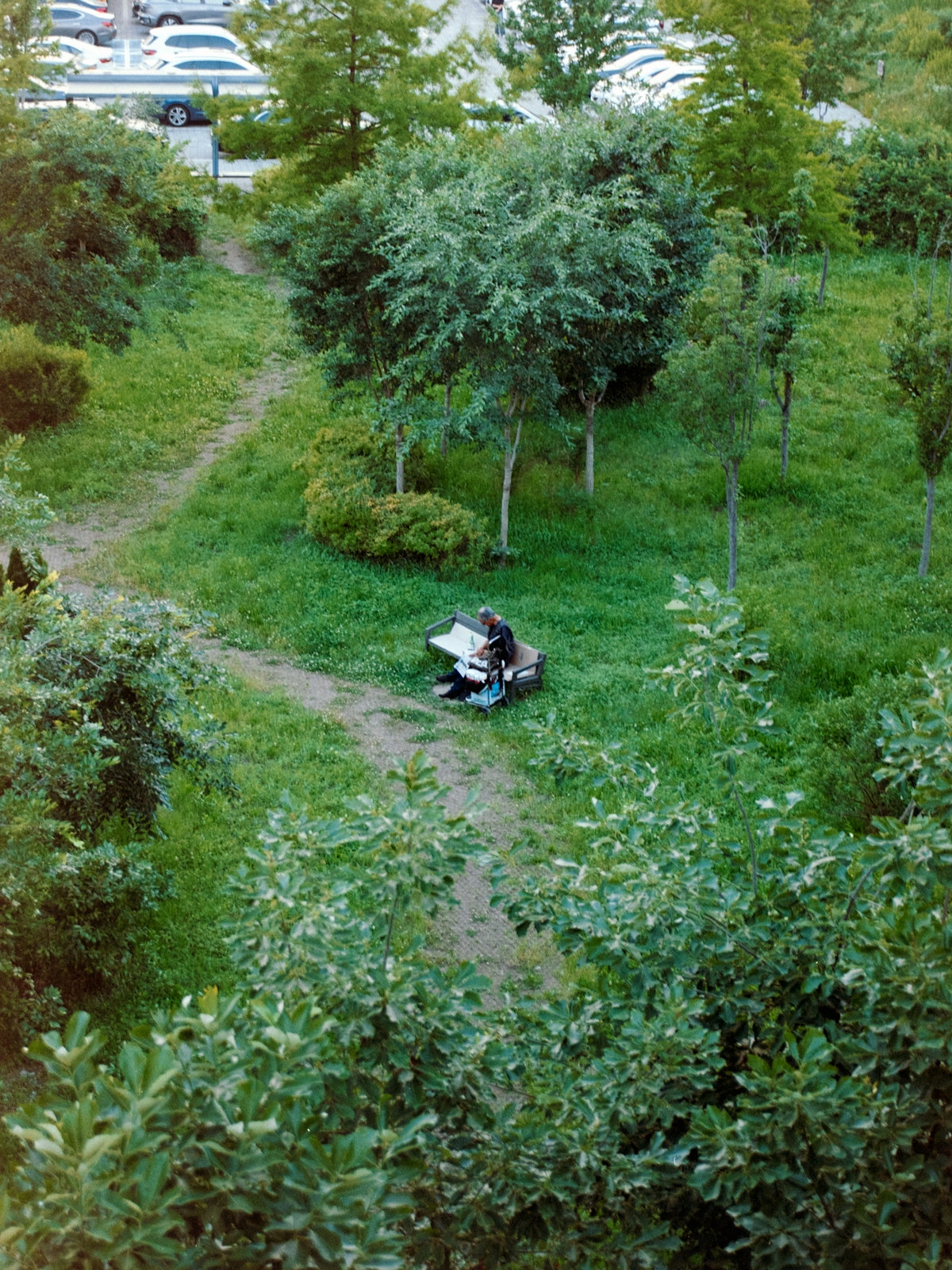 A pianist plays in a peaceful park setting.