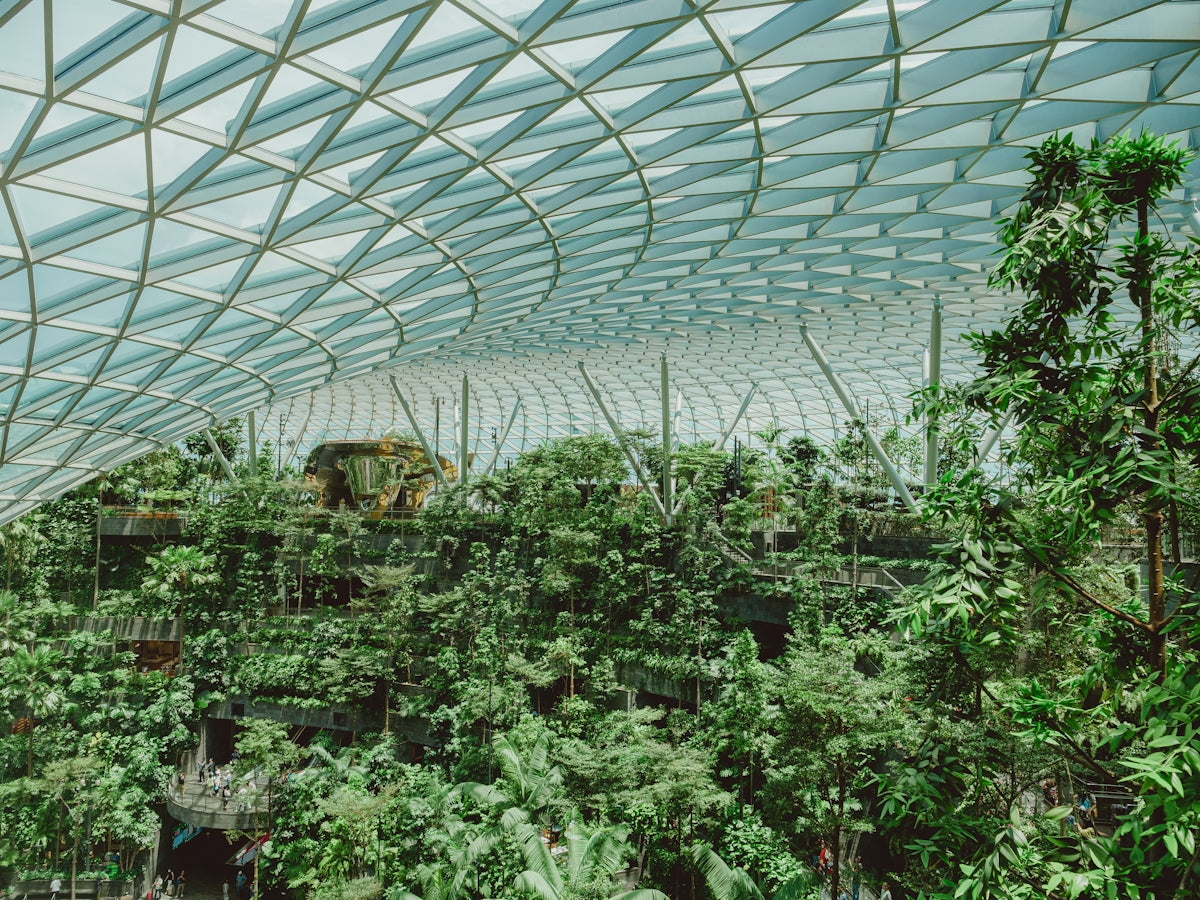A glass ceiling encloses a lush, green garden.