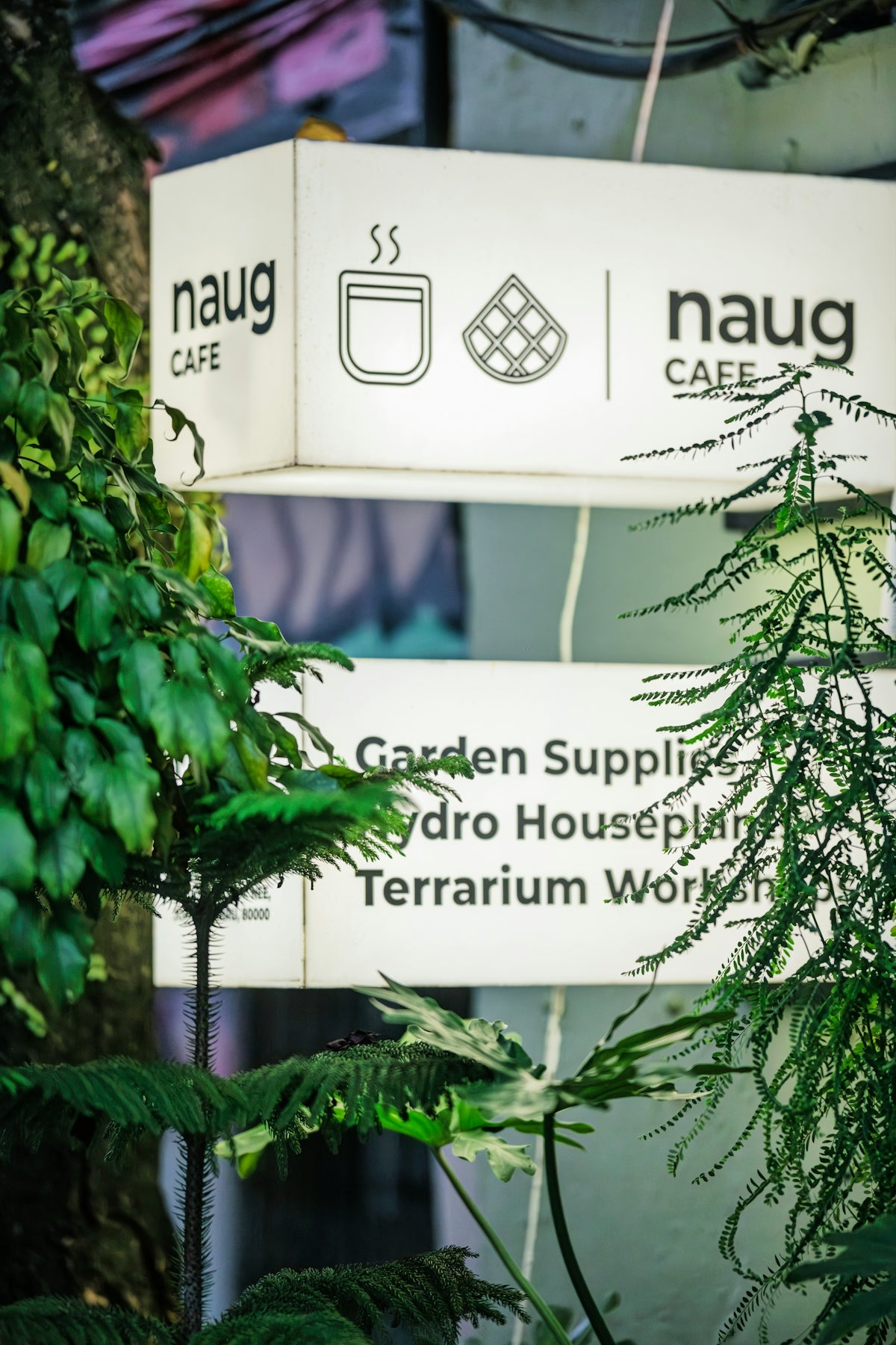 Naug cafe sign with garden supplies and plants