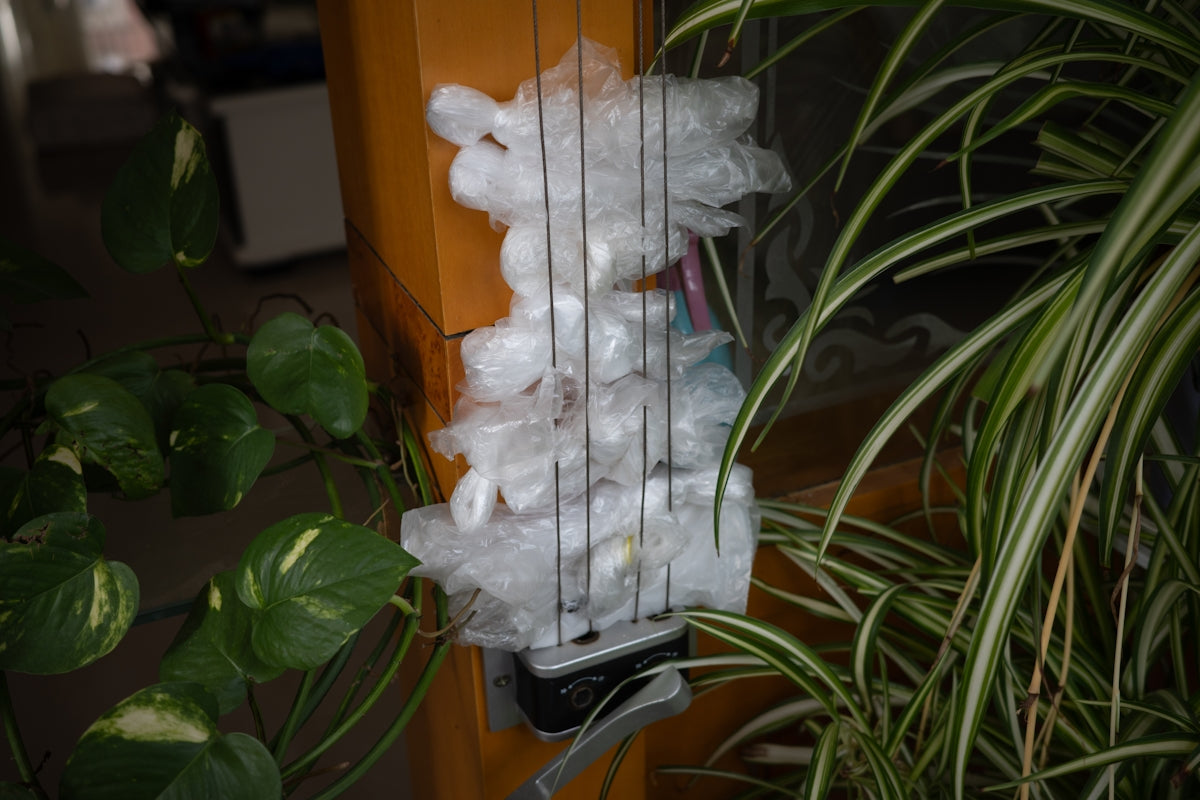 Plastic bags wrapped around a wooden post with plants.