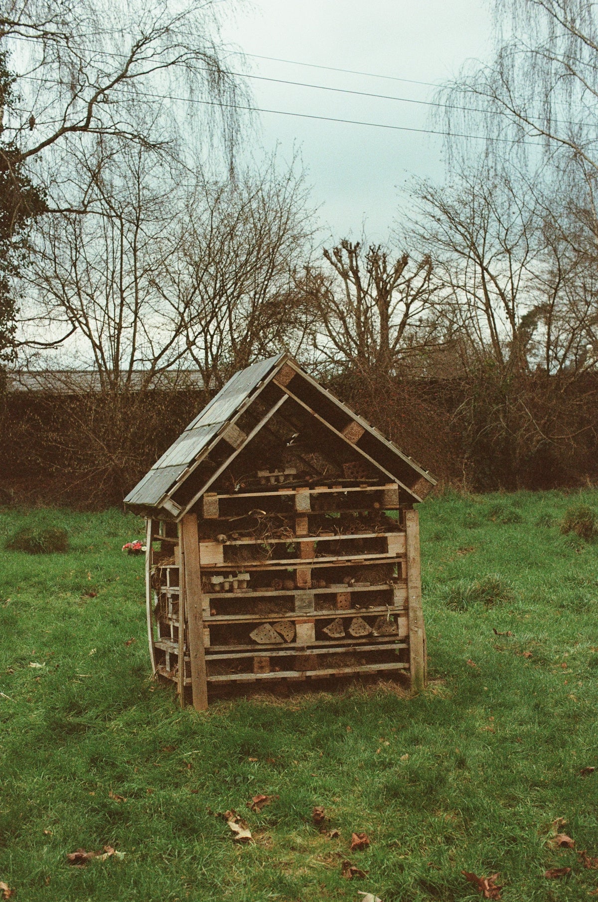 Wooden insect hotel in a grassy field