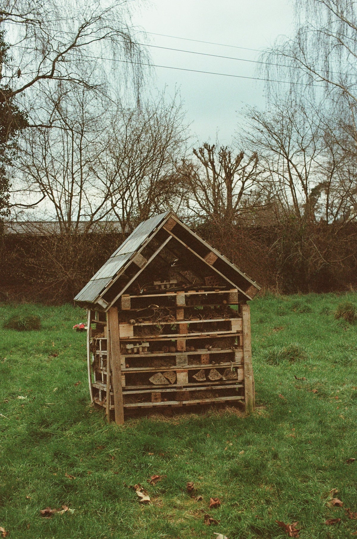 Wooden insect hotel in a grassy field