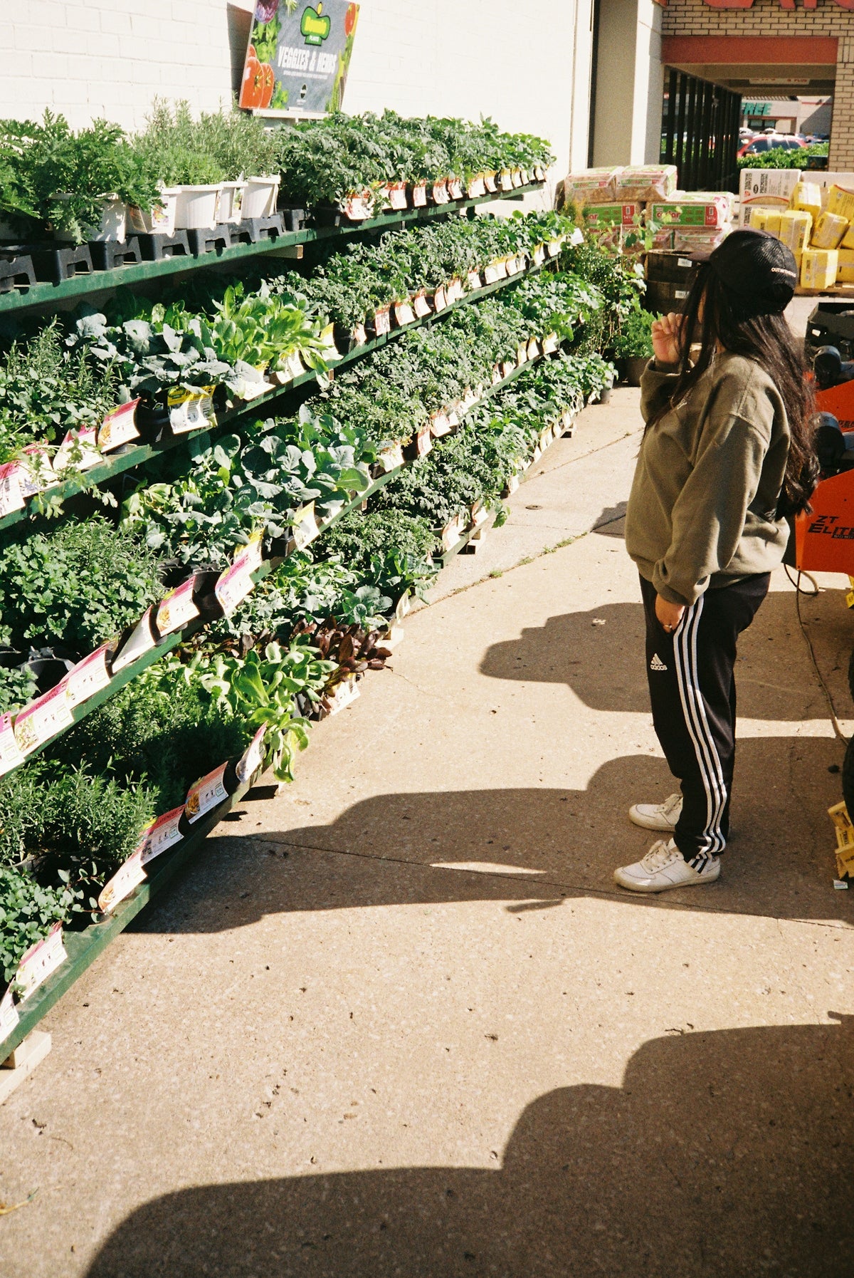 Woman browsing potted plants at an outdoor garden center.