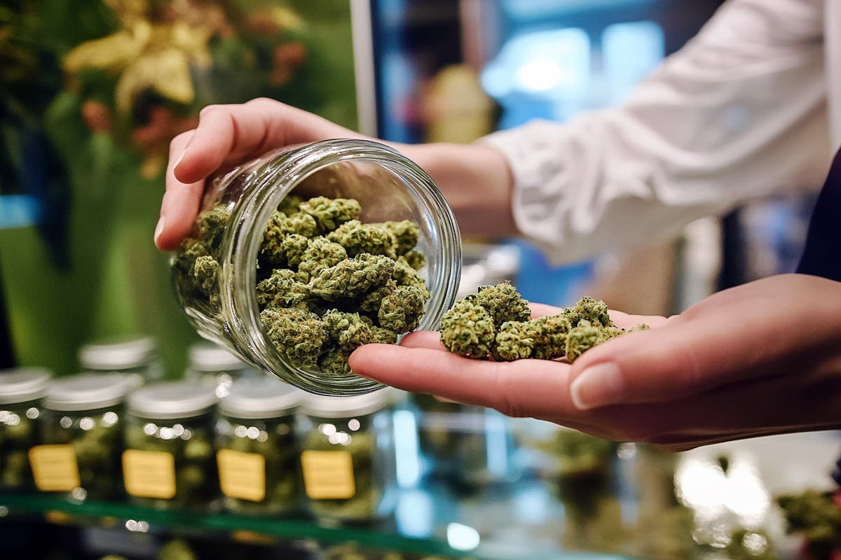 Tennessee’s Legislative Push Towards Cannabis Legalization: A Comprehensive Overview