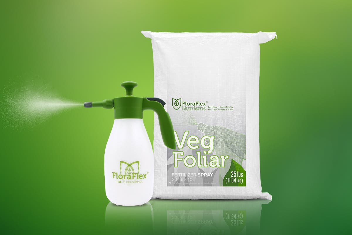 Enhancing Veg Growth with a Custom Foliar Mix: Boost Plant Health, Prevent Pests, and Overcome Transplant Shock