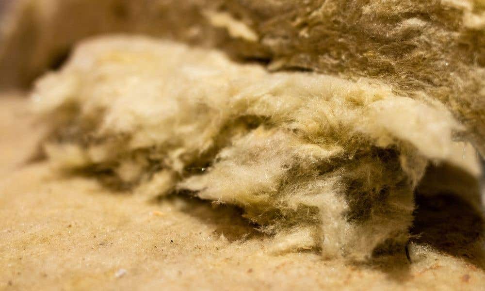 Rockwool for Plants | What Is It and What Is It Made Of?
