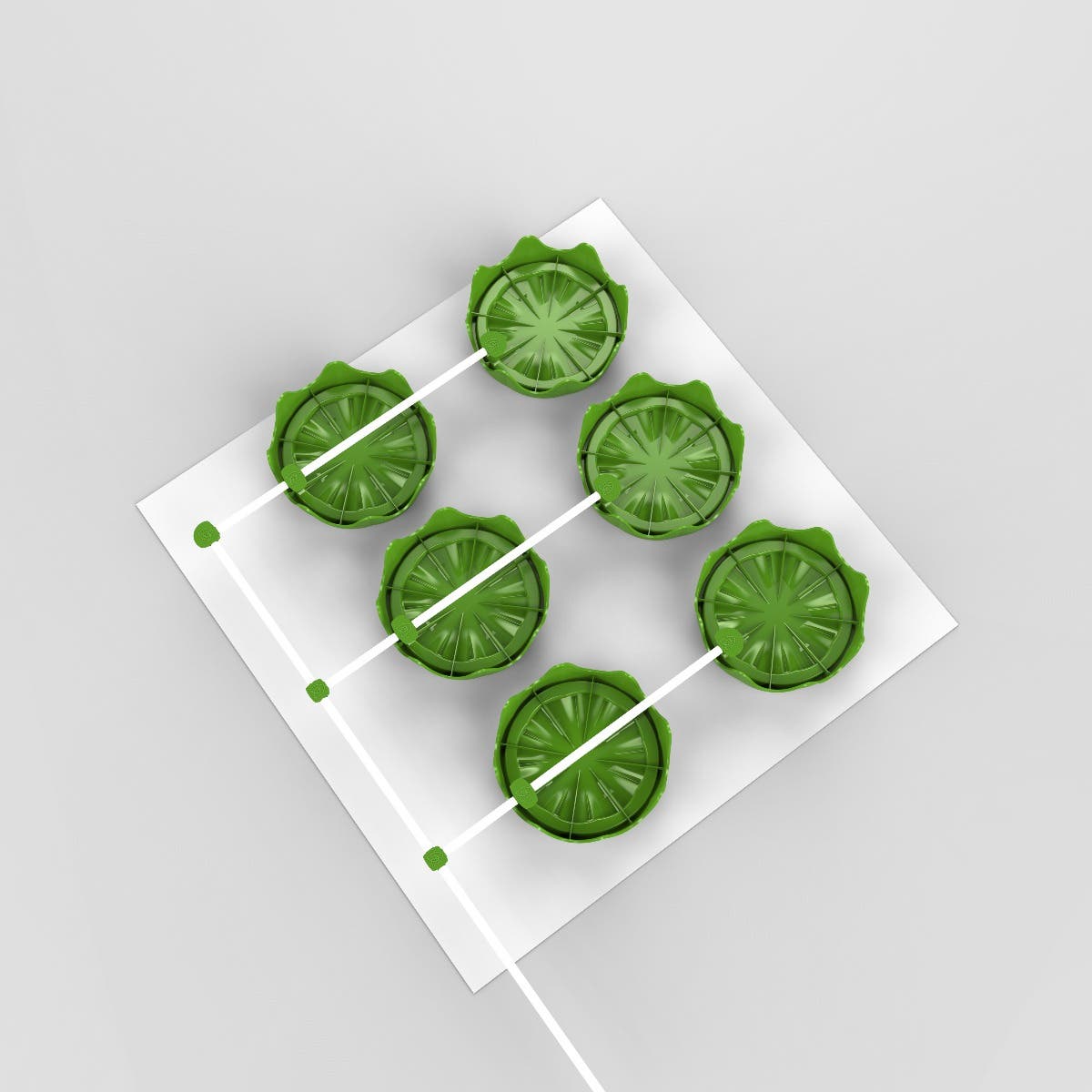 6 Plant Platform Drainage System