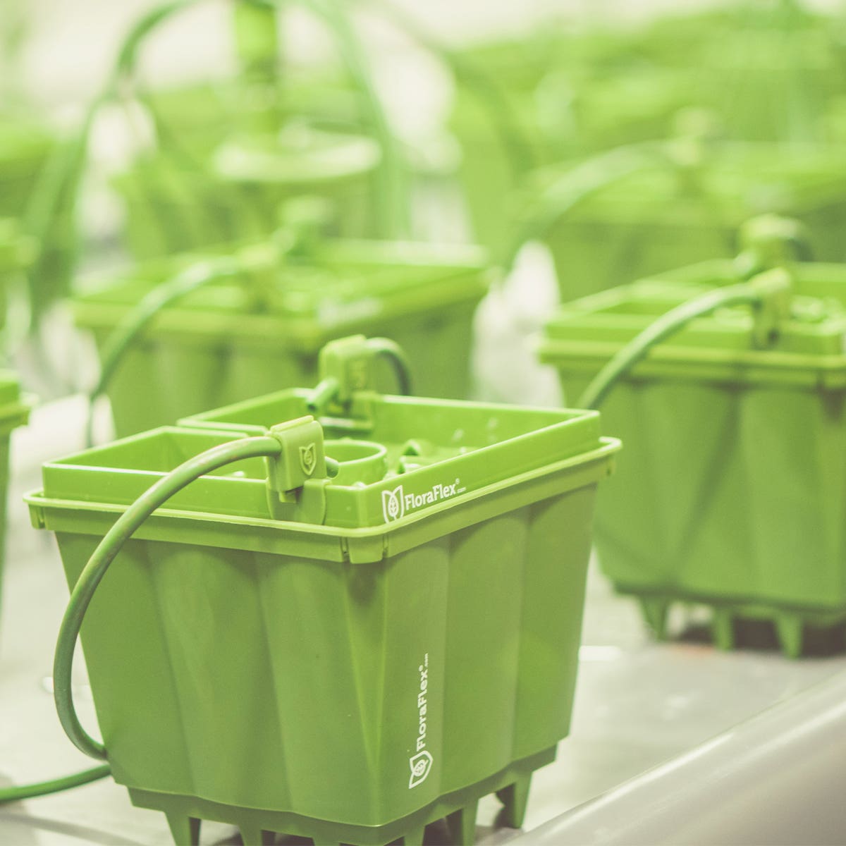 PotProPot_Floracap_Family