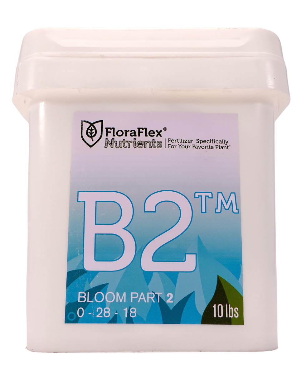 B2™ BLOOM PART 2