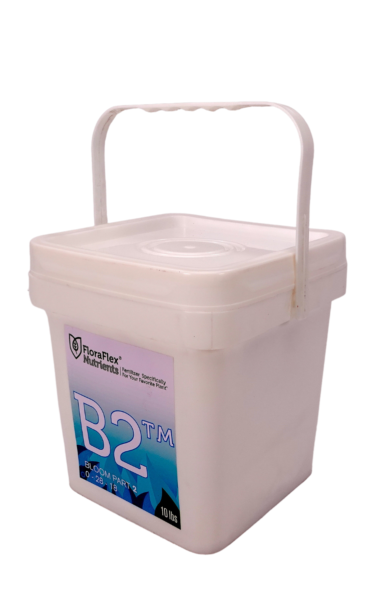 B2™ BLOOM PART 2