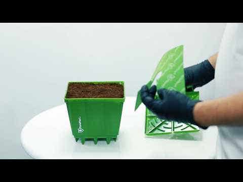 SQUARE MATRIX - 12ct