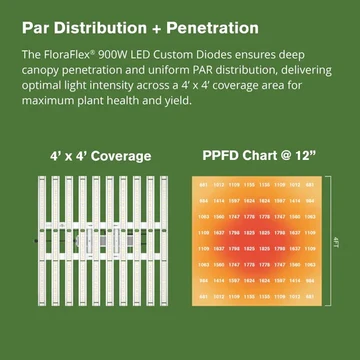 PAR distribution with 4' x 4' coverage and PPFD chart at 12 inches