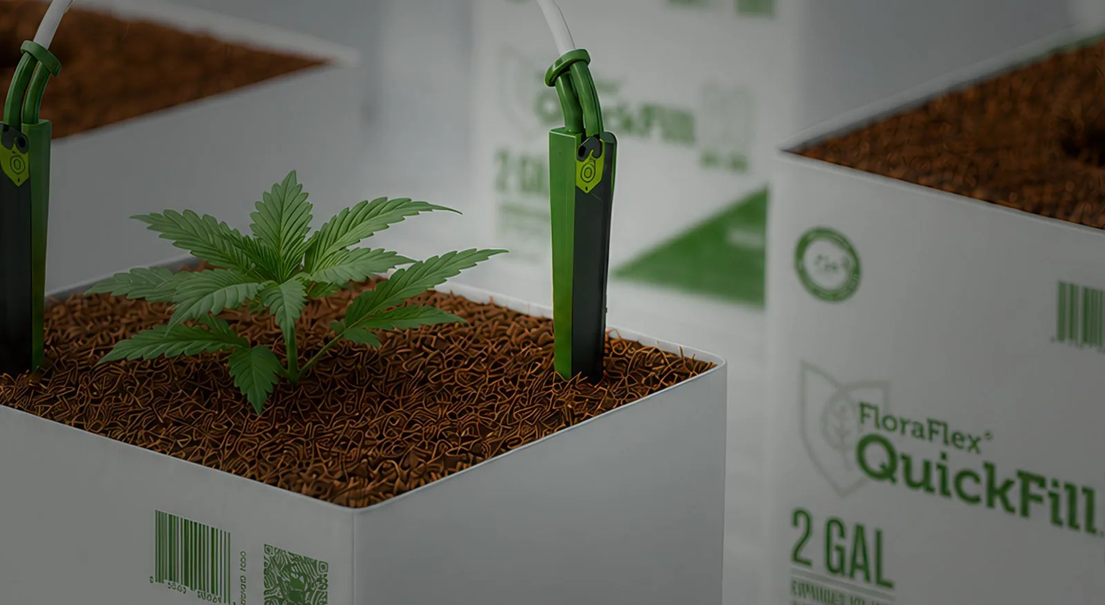 FloraFlex QuickFill bags being irrigated on a grow bench with micro drippers running