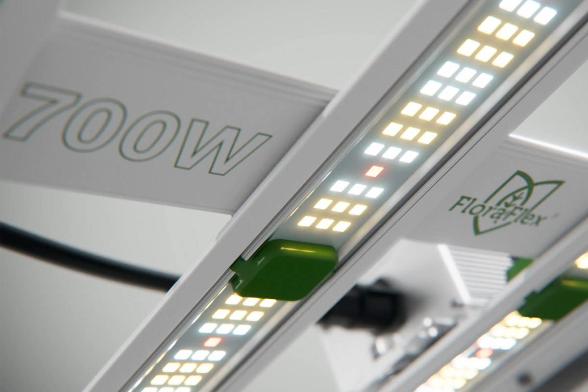 How Full Spectrum LED Lights Enhance Plant Growth