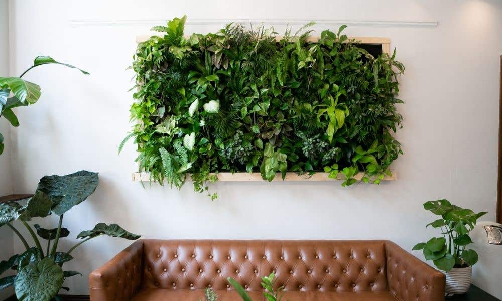 Step-by-Step Guide To Creating a Succulent Wall Garden