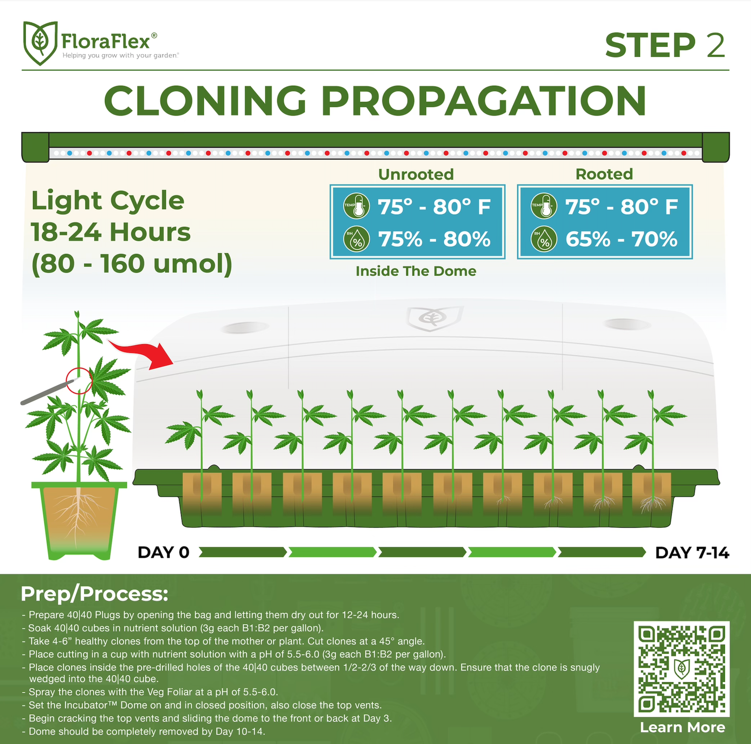 FloraFlex How to Grow: Cloning Propagation | FloraFoam Plugs 40|40