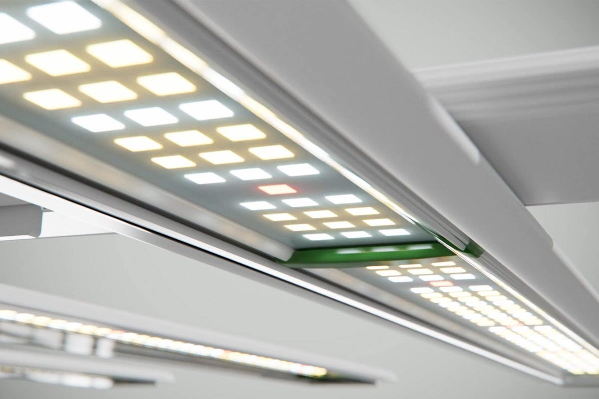 Energy Efficiency in Modern Grow Lights: Maximizing Plant Growth