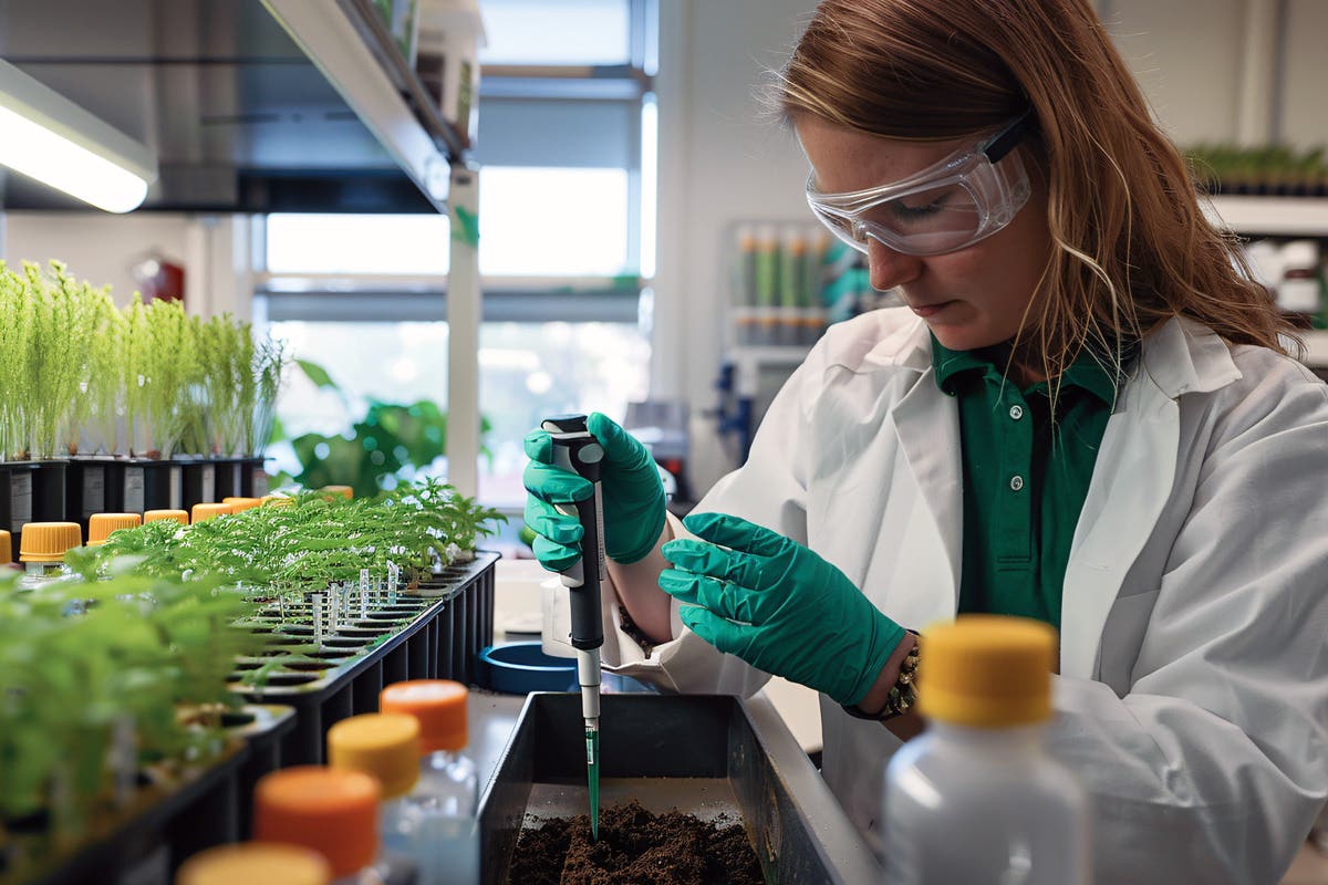 The FloraFlex® Nutrients Story: Helping You Grow with Your Garden®