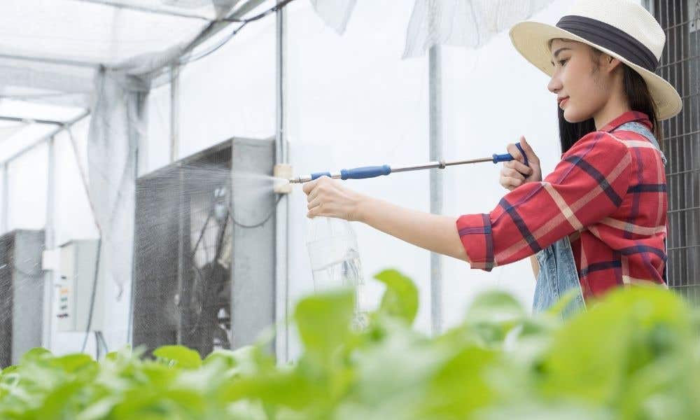 Reasons To Get a Battery-Operated Garden Sprayer