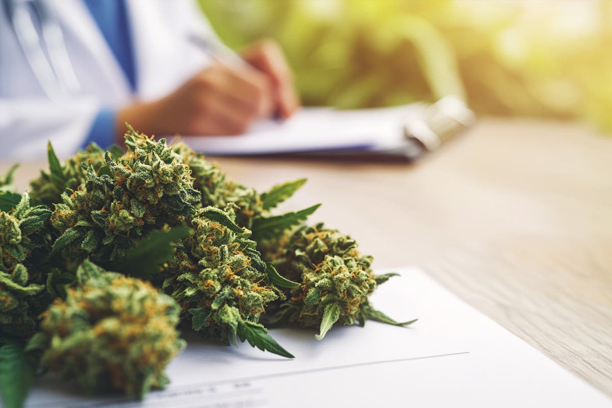 Medical Marijuana for Cancer Patients: Enhancing Chemo, Easing Side Effects