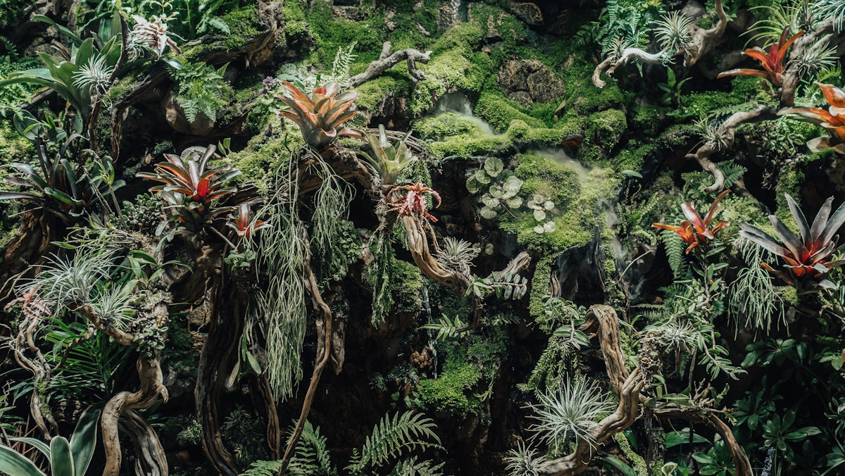 green plants