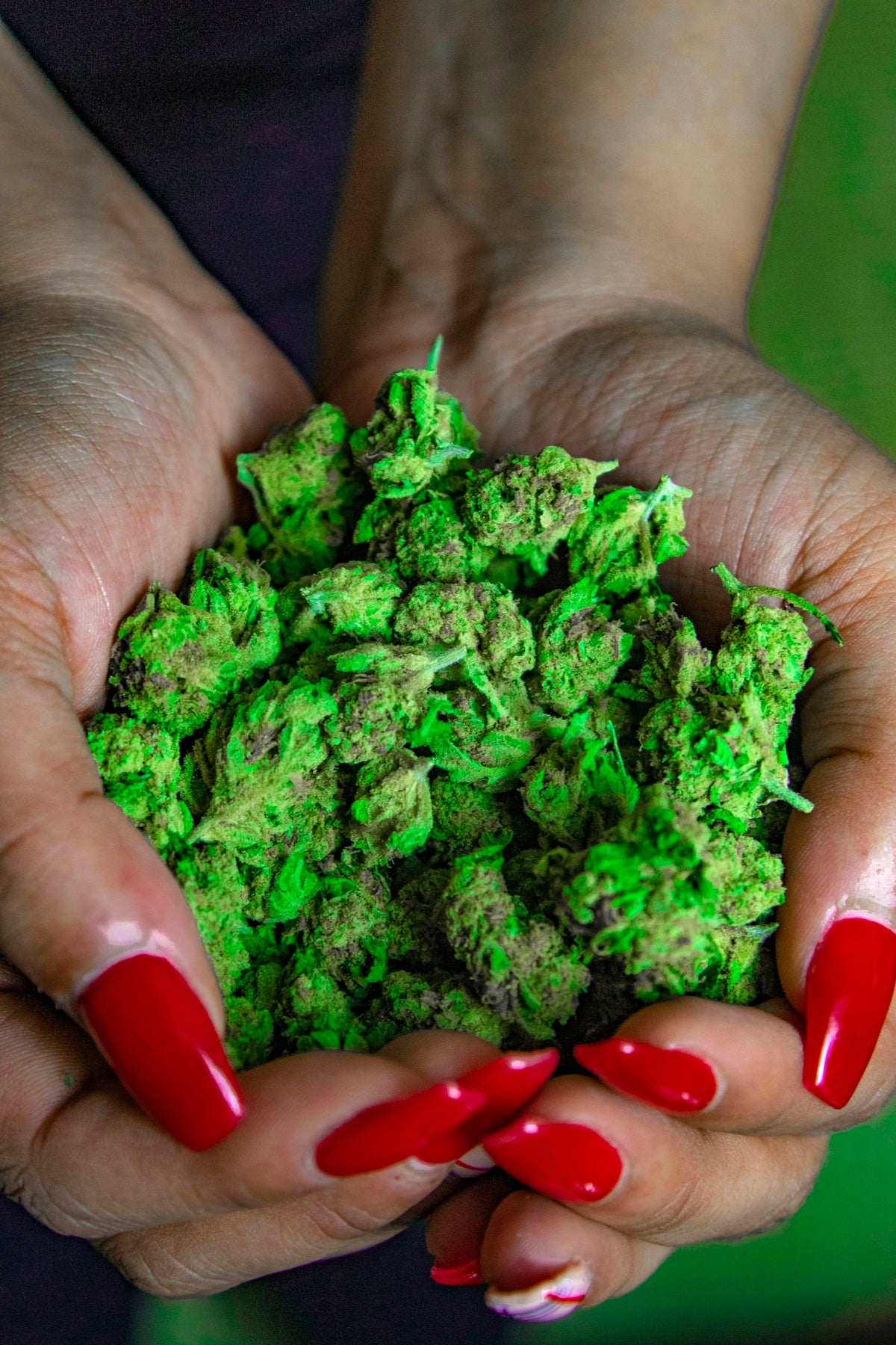 green kush on human hands