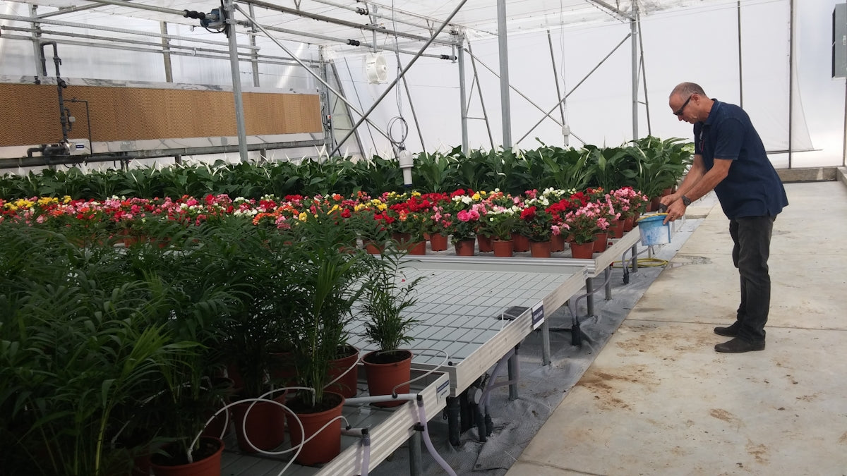 a man is watering flowers in a greenhouse