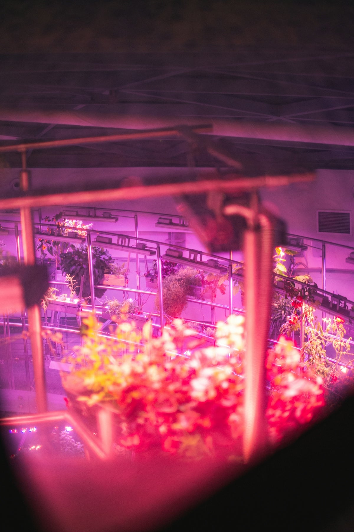 a planter filled with lots of flowers in a room