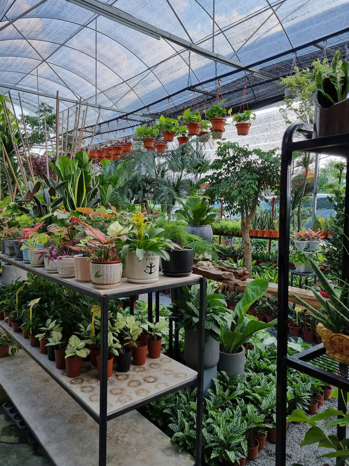 a greenhouse filled with lots of potted plants