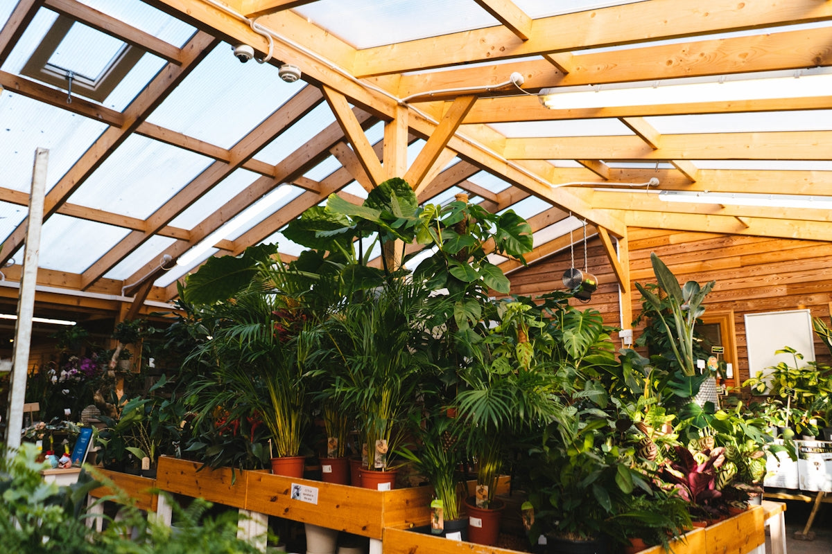 a greenhouse filled with lots of plants and potted plants