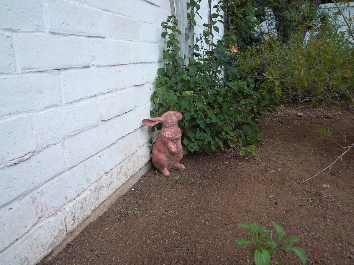 a pink rabbit statue sitting next to a white building