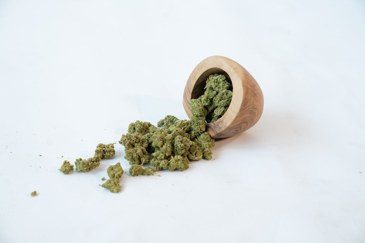 a small plant in a pot