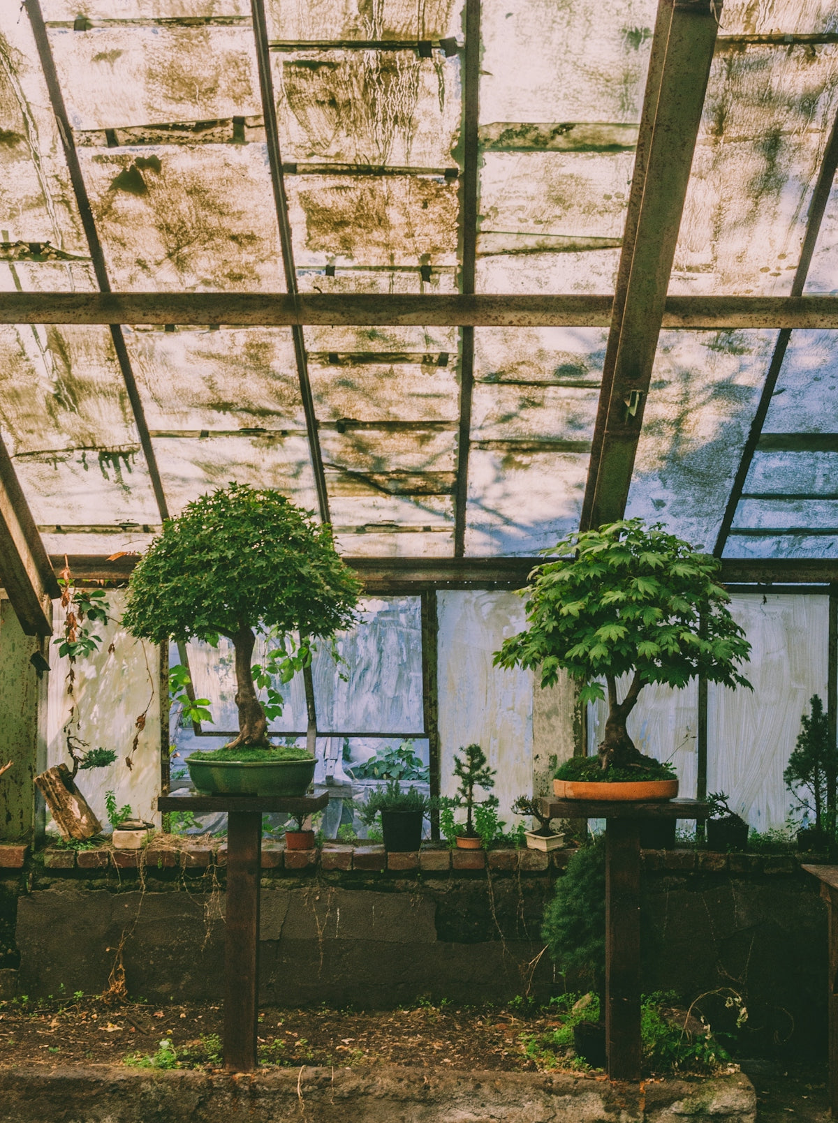 a building with plants and a staircase