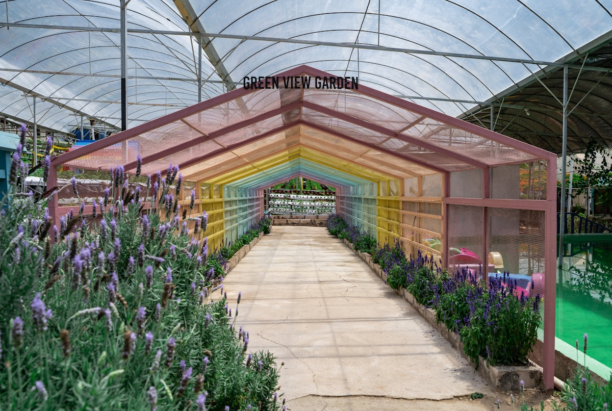 a greenhouse filled with lots of plants and flowers