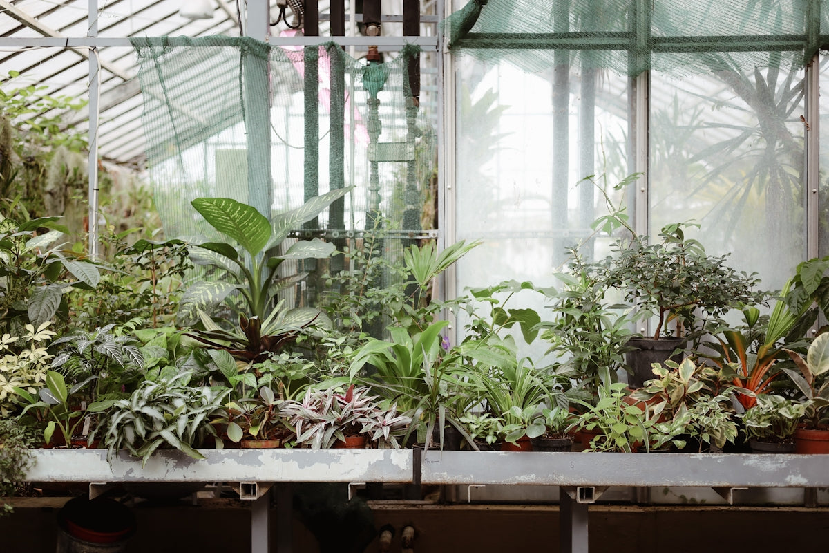 a greenhouse filled with lots of different types of plants